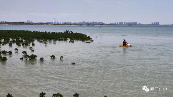 突发!厦门9名游客被困海中,包括两名小孩,消防紧急救援 突发!厦门9名游客被困海中,包括两名小孩,消防紧急救援