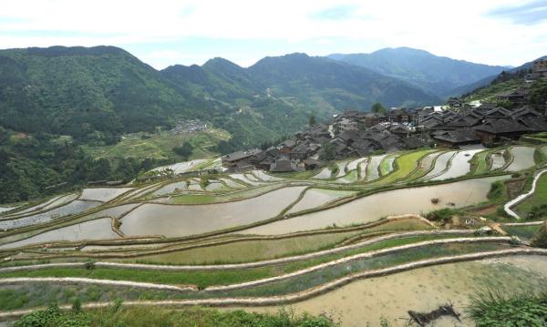 貴州從江加榜梯田開園迎客