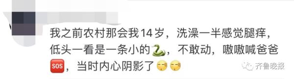 剧毒！居民村头散步碰上3米长眼镜王蛇！警方提醒