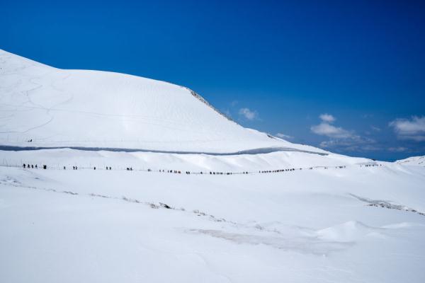日本：春日白雪