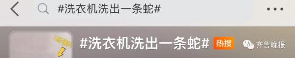 剧毒！居民村头散步碰上3米长眼镜王蛇！警方提醒