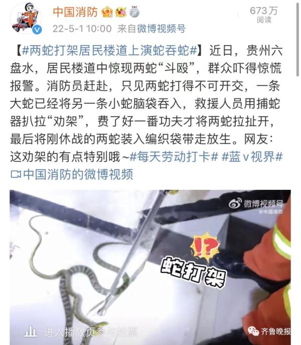 剧毒！居民村头散步碰上3米长眼镜王蛇！警方提醒