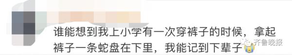 剧毒！居民村头散步碰上3米长眼镜王蛇！警方提醒
