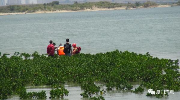 突发!厦门9名游客被困海中,包括两名小孩,消防紧急救援 突发!厦门9名游客被困海中,包括两名小孩,消防紧急救援