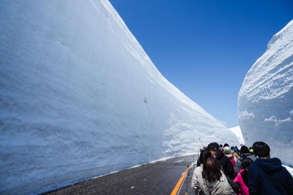 日本：春日白雪