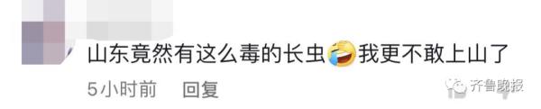 剧毒！居民村头散步碰上3米长眼镜王蛇！警方提醒