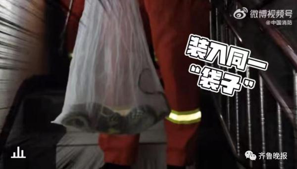 剧毒！居民村头散步碰上3米长眼镜王蛇！警方提醒