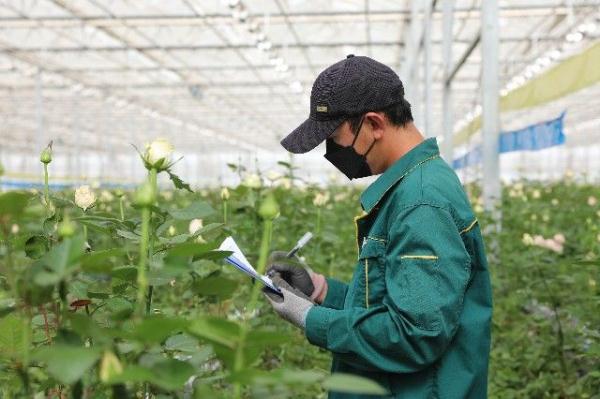 “90后护花使者”在黄土高原绽放“青春之花”