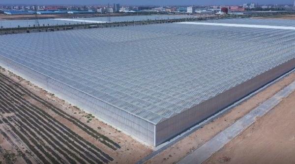 “90后护花使者”在黄土高原绽放“青春之花”