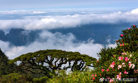 快来看金秀圣堂山！