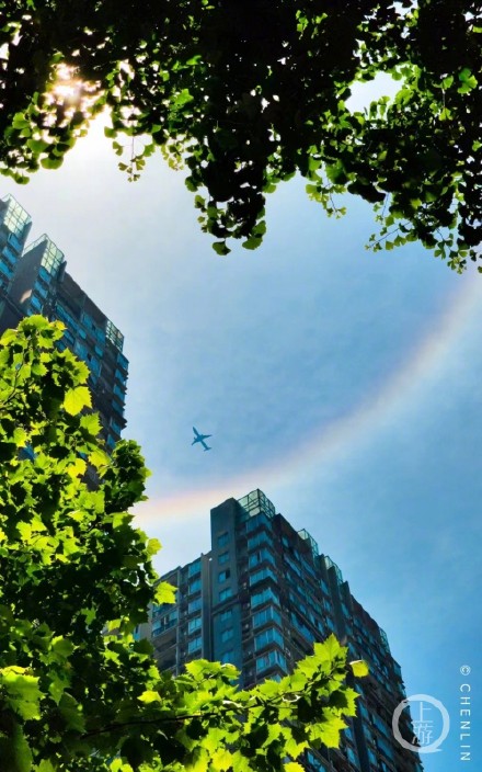“套圈太阳”刷爆重庆人朋友圈，它的学名叫日晕