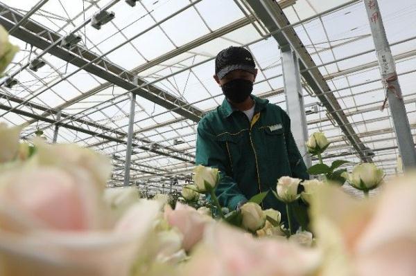 “90后护花使者”在黄土高原绽放“青春之花”