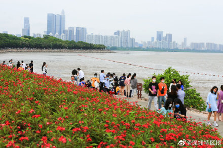 “五一”假期，228.8万人次在深圳公园享受花漾“深蹲”