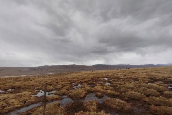 青海隆宝国家级自然保护区首现赤颈鸫 青海隆宝国家级自然保护区首现赤颈鸫