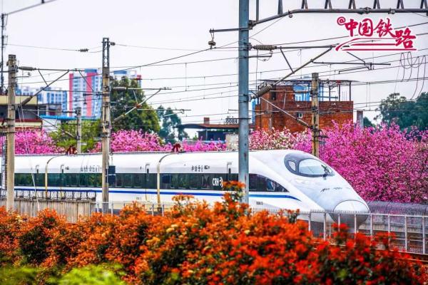 夏日限定火车风景，是浪漫的味道！