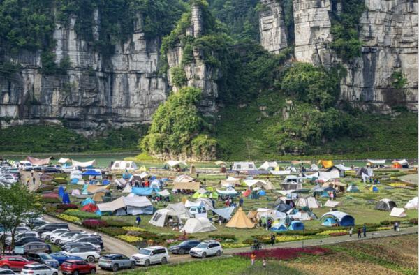 露营火了！几乎有草地的地方都"长满"露营人……