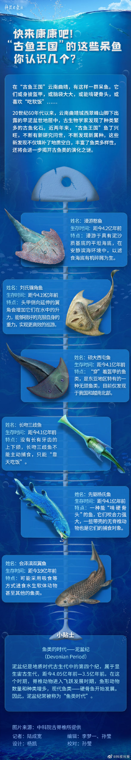一图了解古鱼王国的这些憨憨鱼 一图了解古鱼王国的这些憨憨鱼