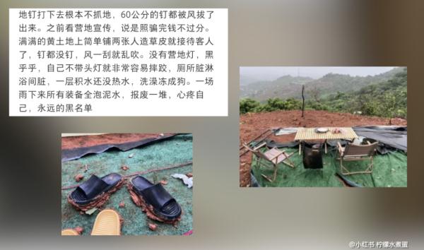 露营火了！几乎有草地的地方都"长满"露营人……