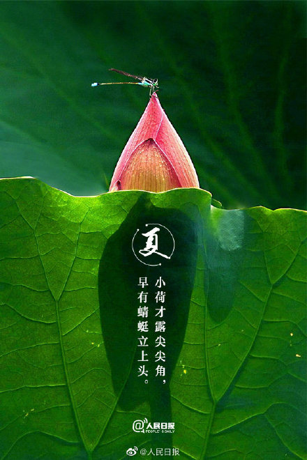 治愈系！当初夏美景遇上古诗词
