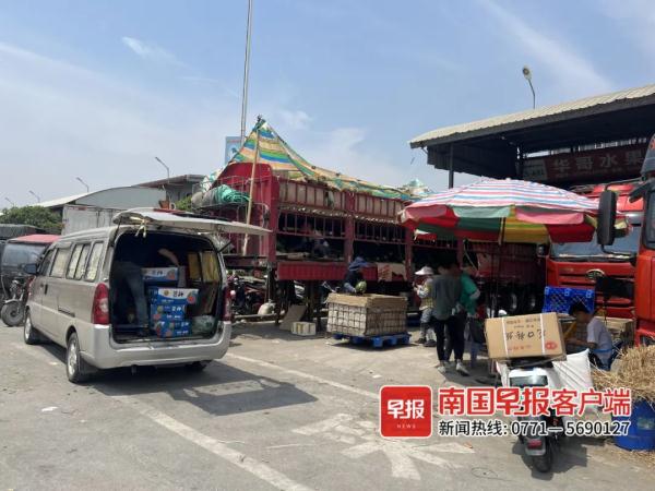 西瓜等水果价格上涨，南宁人直呼吃不起！降价要等到……