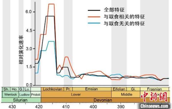 肺鱼为何能“啃硬骨头”?4.1亿年前杨氏鱼化石最新研究揭密 肺鱼为何能“啃硬骨头”?4.1亿年前杨氏鱼化石最新研究揭密