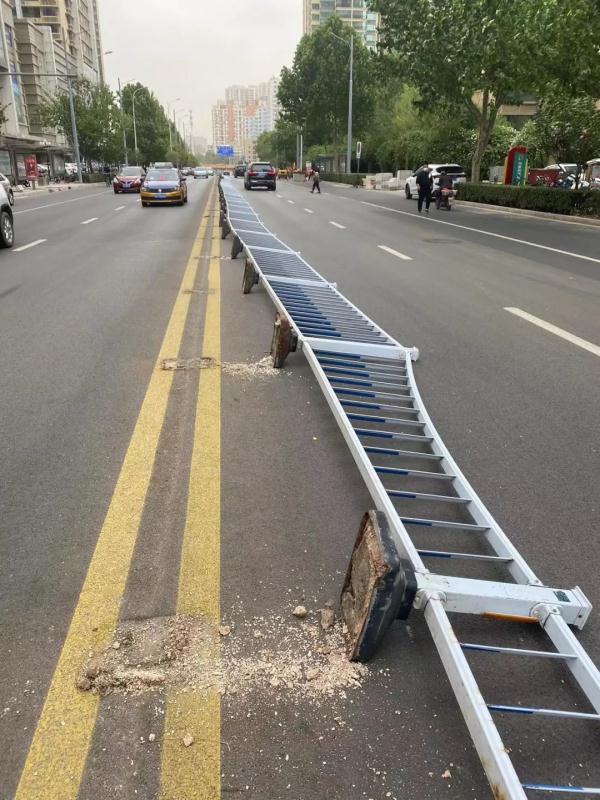 石家庄的树枝被刮断!河北迎8级大风+降温幅度20.7℃ 石家庄的树枝被刮断!河北迎8级大风+降温幅度20.7℃