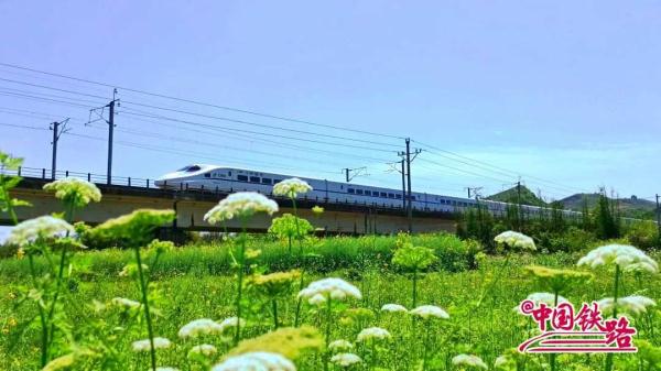 夏日限定火车风景，是浪漫的味道！