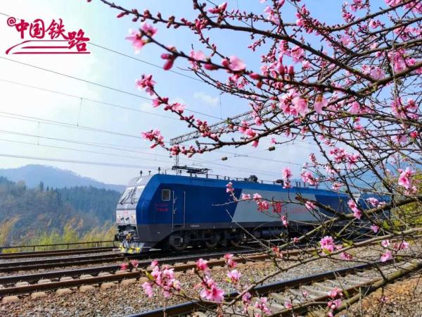 夏日限定火车风景，是浪漫的味道！