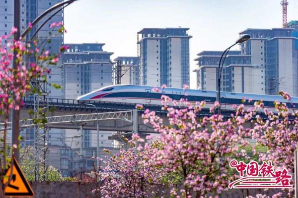 夏日限定火车风景，是浪漫的味道！