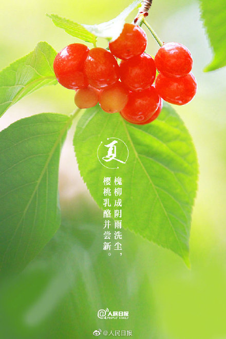 治愈系！当初夏美景遇上古诗词