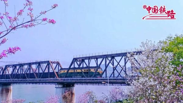 夏日限定火车风景，是浪漫的味道！