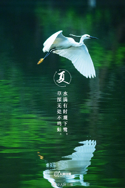 治愈系！当初夏美景遇上古诗词