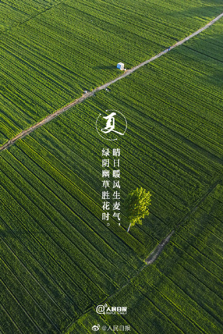 治愈系！当初夏美景遇上古诗词