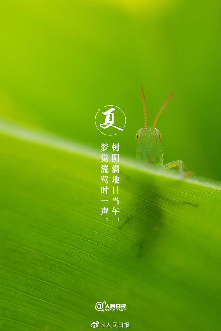 治愈系！当初夏美景遇上古诗词