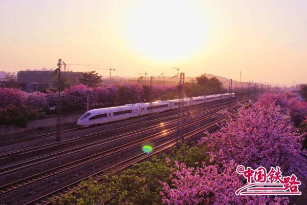 夏日限定火车风景，是浪漫的味道！