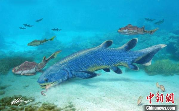 肺鱼为何能“啃硬骨头”?4.1亿年前杨氏鱼化石最新研究揭密 肺鱼为何能“啃硬骨头”?4.1亿年前杨氏鱼化石最新研究揭密