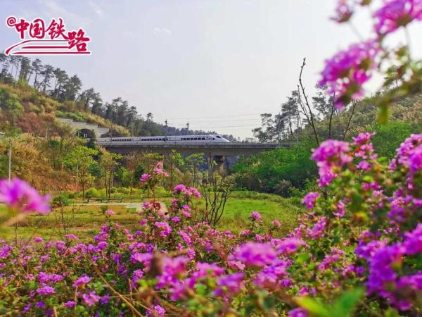 夏日限定火车风景，是浪漫的味道！