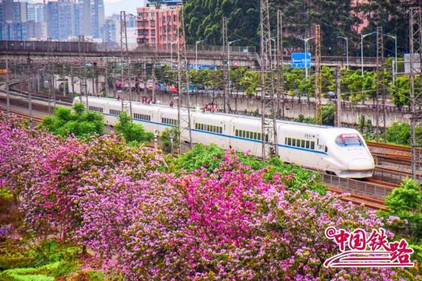 夏日限定火车风景，是浪漫的味道！