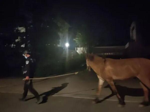 懵了!深夜,杭州街头出现一庞然大物...... 懵了!深夜,杭州街头出现一庞然大物......