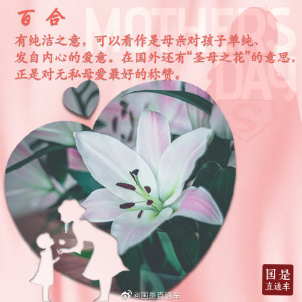 母亲节如何选花?这些花语要知道 母亲节如何选花?这些花语要知道
