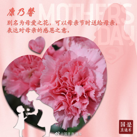 母亲节如何选花?这些花语要知道 母亲节如何选花?这些花语要知道