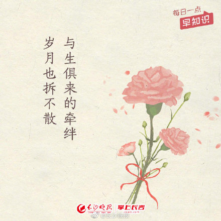 母亲节,写给妈妈的九封信 母亲节,写给妈妈的九封信