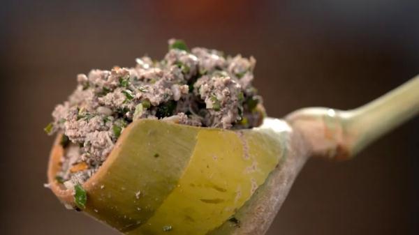 哪里的树皮最美味？什么树干能做菜？