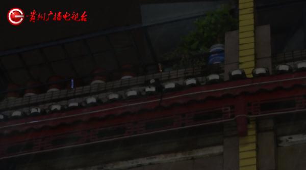 仙人掌：我掉下来了！奔驰车：我被砸穿了！贵阳男子：我心凉透了！