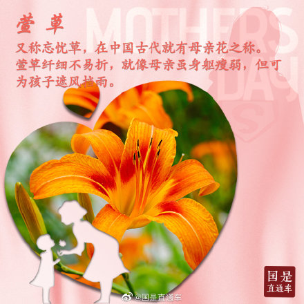 母亲节如何选花?这些花语要知道 母亲节如何选花?这些花语要知道