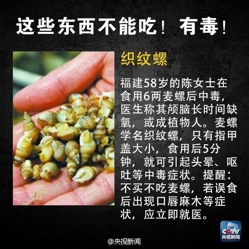 毒性超强 严重可致命！这种螺千万别吃