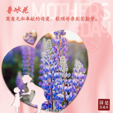 母亲节如何选花?这些花语要知道 母亲节如何选花?这些花语要知道