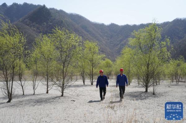 陕西推进秦岭矿区修复治理