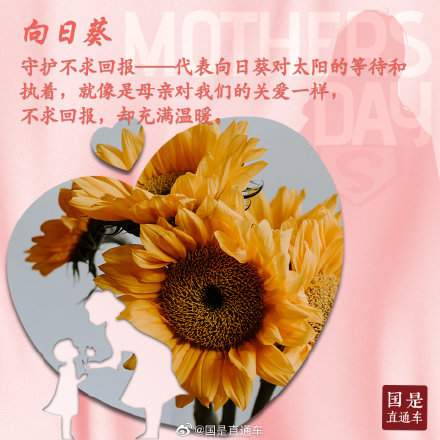母亲节如何选花?这些花语要知道 母亲节如何选花?这些花语要知道