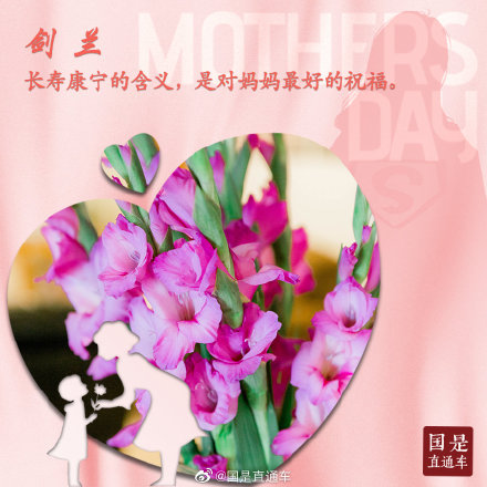 母亲节如何选花?这些花语要知道 母亲节如何选花?这些花语要知道